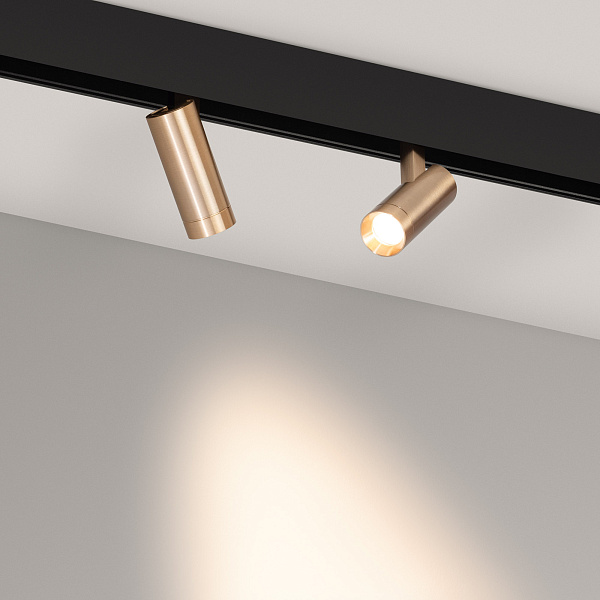 Светильник MAG-ORIENT-SPOT-R35-6W Warm3000 (GD, 24 deg, 48V) (Arlight, IP20 Металл, 5 лет) Lednikoff