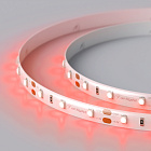 Светодиодная лента RTW 2-5000SE 12V Red (3528, 300 LED, LUX) (Arlight, 4.8 Вт/м, IP65) Lednikoff