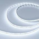 Светодиодная лента DOT-X192-10mm 24V White6000 (16 W/m, IP20, 5m) (Arlight, Открытый) Lednikoff