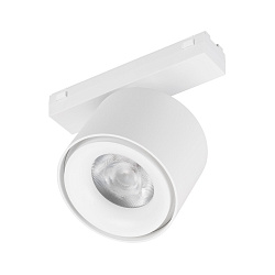 Светильник MAG-VIBE-POINT-R75-10W Day4000-MIX (WH, 24 deg, 48V, DALI) (Arlight, IP20 Металл, 5 лет)