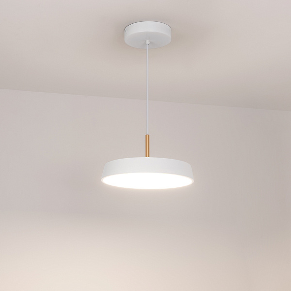 Светильник SP-ELEGANT-R300-17W Day4000 (WH, 120 deg, 230V) (Arlight, IP20 Металл, 3 года) Lednikoff