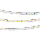 Светодиодная лента герметичная RTW-PS-A140-7mm 24V Warm2400 (10 W/m, IP67, 5m) (Arlight, CRI>90) Lednikoff