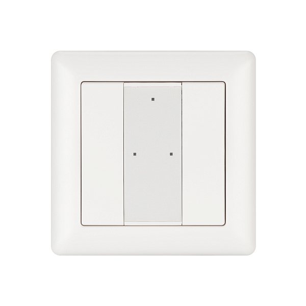 INTELLIGENT ARLIGHT Панель DALI-223-2K-D2-IN (BUS, Free purpose) (IARL, -) Lednikoff