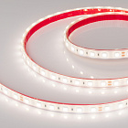Светодиодная лента герметичная RTW-PFS-B60-13mm 24V Day5000 (14.4 W/m, IP68, 5060, 5m) (Arlight, 14.4 Вт/м, IP68) Lednikoff