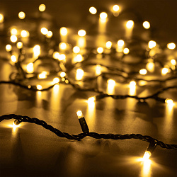 Светодиодная гирлянда ARD-STRING-PRO-10000-GREEN-100LED-STD WARM (230V, 7W) (Ardecoled, IP65, 2 года)