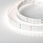 Светодиодная лента RT 2-5000 24V Day5000 2x2 (2835, 980 LED, CRI98) (Arlight, 20 Вт/м, IP20) Lednikoff