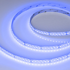 Светодиодная лента RT-AM360-12mm 24V RGBW-MIX (24 W/m, IP20, 2835/2210, 5m) (Arlight, -) Lednikoff