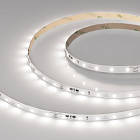 Светодиодная лента IC-A60-8mm 24V Day5000 (4.8 W/m, IP20, 2835, 10m) (Arlight, стабилизированная) Lednikoff