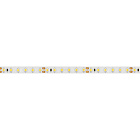 Светодиодная лента RT 2-5000 24V White6000 2x (3528, 600 LED, LUX) (Arlight, 9.6 Вт/м, IP20) Lednikoff