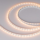 Светодиодная лента RZ-A80-8mm 24V Warm2700 (8 W/m, IP20, 2835, 5m) (Arlight, -) Lednikoff
