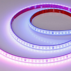 Светодиодная лента герметичная SPI-PS-A120-12mm 24V RGB-PX6-BPT (23 W/m, IP67, 2835, 5m) (Arlight, бегущий огонь) Lednikoff