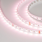 Светодиодная лента RT-B60-12mm 24V RGBW-White-4-in-1 (19.2 W/m, IP20, 5060, 5m) (Arlight, Открытый) Lednikoff