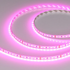 Светодиодная лента RT-A120-8mm 24V Magenta (9.6 W/m, IP20, 2835, 5m) (Arlight, -) Lednikoff