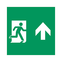 Пиктограмма EMGP-MARK-MA-UP (Человек, Вверх) (Arlight, Пластик)