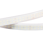 Светодиодная лента RTW 2-5000PW 24V White6000 2x2 (3528, 1200 LED, LUX) (Arlight, 19.2 Вт/м, IP66) Lednikoff