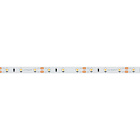 Светодиодная лента RT 2-5000 12V White6000 (3528, 300 LED, LUX) (Arlight, 4.8 Вт/м, IP20) Lednikoff