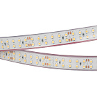Светодиодная лента RTW 2-5000P 24V White6000 2x2 (3528, 1200 LED, LUX) (Arlight, 19.2 Вт/м, IP66) Lednikoff