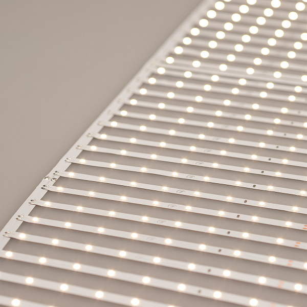 Светодиодная лента RT-ONIX-A640-410mm 24V Day4000 (43.6 W/m, IP20, 2835, 3m) (Arlight, сеть параллельная) Lednikoff
