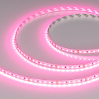 Светодиодная лента RT-A120-8mm 24V Pink (9.6 W/m, IP20, 2835, 5m) (Arlight, -) Lednikoff