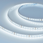 Светодиодная лента NT-A120-8mm 24V Cool 8K (9.6 W/m, IP20, 3528, 5m) (Arlight, Открытый) Lednikoff
