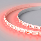 Светодиодная лента RTW 2-5000SE 24V Red 2x (5060, 300 LED, LUX) (Arlight, 14.4 Вт/м, IP65) Lednikoff