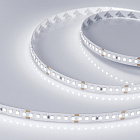 Светодиодная лента RT 2-5000 24V White6000 3x (2835, 840 LED, LUX) (Arlight, 17 Вт/м, IP20) Lednikoff