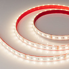 Светодиодная лента RTW-PS-B60-14mm 24V RGBW-Warm-4-in-1 (19.2 W/m, IP67, 5060, 5m) (Arlight, -) Lednikoff
