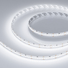 Светодиодная лента RT-A252-10mm 24V White6000 (11 W/m, IP20, 2835, 5m) (Arlight, 11 Вт/м, IP20) Lednikoff