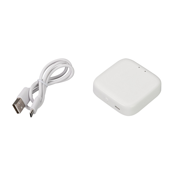 INTELLIGENT ARLIGHT Конвертер TY-804-BT-SUF (5V, WI-FI, BLE) (IARL, IP20 Пластик, 3 года) Lednikoff
