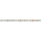 Светодиодная лента RTW 2-5000SE 12V White (3528, 300 LED, LUX) (Arlight, 4.8 Вт/м, IP65) Lednikoff