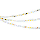 Светодиодная лента RT-A120-8mm 24V Day4000 (9.6 W/m, IP20, 2835, 5m) (Arlight, Открытый) Lednikoff