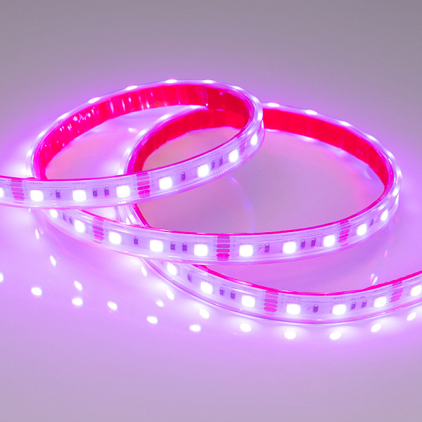 Светодиодная лента RTW 2-5000PS 12V RGB 2x (5060, 300 LED, LUX) (Arlight, 14.4 Вт/м, IP67) Lednikoff