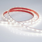 Светодиодная лента герметичная RTW-PS-A60-10mm 12V White6000 (4.8 W/m, IP67, 2835, 5m) (Arlight, -) Lednikoff