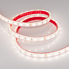 Светодиодная лента герметичная RTW-PFS-B60-13mm 24V Day5000 (14.4 W/m, IP68, 5060, 5m) (Arlight, 14.4 Вт/м, IP68) Lednikoff