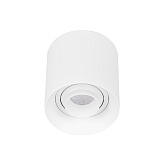 Светильник SP-ACENTO-R95-10W Warm3000 (WH, 20-45 deg, 230V) (Arlight, IP20 Металл, 5 лет)