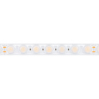 Светодиодная лента герметичная FLT-PS-A42-23mm 24V Warm3000 (21 W/m, IP67, 30deg, 5m) (Arlight, -) Lednikoff