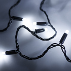Светодиодная гирлянда ARD-STRING-PRO-10000-BLACK-100LED-STD WHITE (230V, 7W) (Ardecoled, IP65) Lednikoff