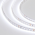 Светодиодная лента RT 2-5000-50m 24V White6000 2x (3528, 120 LED/m, LUX) (Arlight, 9.6 Вт/м, IP20) Lednikoff
