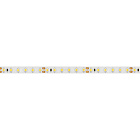 Светодиодная лента RT 2-5000 24V Cool 8K 2x (3528, 600 LED, LUX) (Arlight, 9.6 Вт/м, IP20) Lednikoff