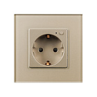 Розетка электрическая с Zigbee управлением SCT-OMALI-EUZB1-PL-GD (240V, 16A, Zigbee) (Arlight, -) Lednikoff