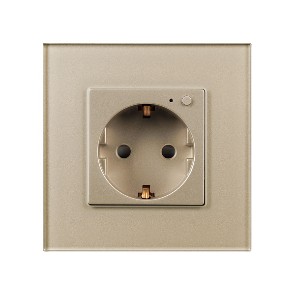Розетка электрическая с Zigbee управлением SCT-OMALI-EUZB1-PL-GD (240V, 16A, Zigbee) (Arlight, -) Lednikoff