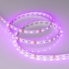 Светодиодная лента RT-B60-10mm 12V RGB (14.4 W/m, IP20, 5060, 5m) (Arlight, Открытый) Lednikoff