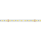 Светодиодная лента RT-A140-10mm 24V White-MIX (19.2 W/m, IP20, 2835, 5m) (Arlight, Изменяемая ЦТ) Lednikoff