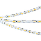 Светодиодная лента MICROLED-M320-8mm 24V Day4000 (8 W/m, IP20, 2216, 5m) (Arlight, 130 лм/Вт) Lednikoff