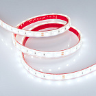 Светодиодная лента герметичная RTW-PFS-B60-13mm 24V Cool 10K (14.4 W/m, IP68, 5060, 5m) (Arlight, 14.4 Вт/м, IP68) Lednikoff