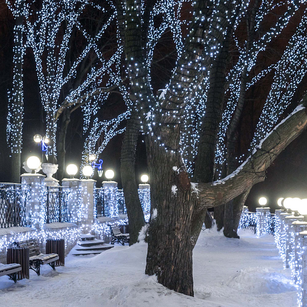 Светодиодная гирлянда ARD-STRING-PRO-10000-GREEN-100LED-FLASH WHITE (230V, 7W) (Ardecoled, IP65) Lednikoff