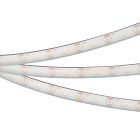 Светодиодная лента герметичная RTW-PS-A240-12mm 24V Warm2700 (19 W/m, IP67, 5m) (Arlight, CRI>90) Lednikoff