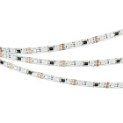 Светодиодная лента DMX-B60-10mm 12V RGB-PX3 (14 W/m, IP20, 5060, 5m) (Arlight, -) Lednikoff