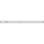Светодиодная лента RT-50000 48V Warm3000 (3528, 78 LED/m, 50m) (Arlight, 4 Вт/м, IP20) Lednikoff