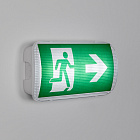 Аварийная панель EMG-PROOF-3h-4.5W (Пикт. направления, IP65) (Arlight, IP65 Пластик, 3 года) Lednikoff